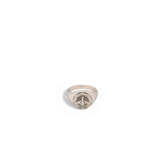R2331WOMMTD24G - Women's Ring - 24G Warm Silver