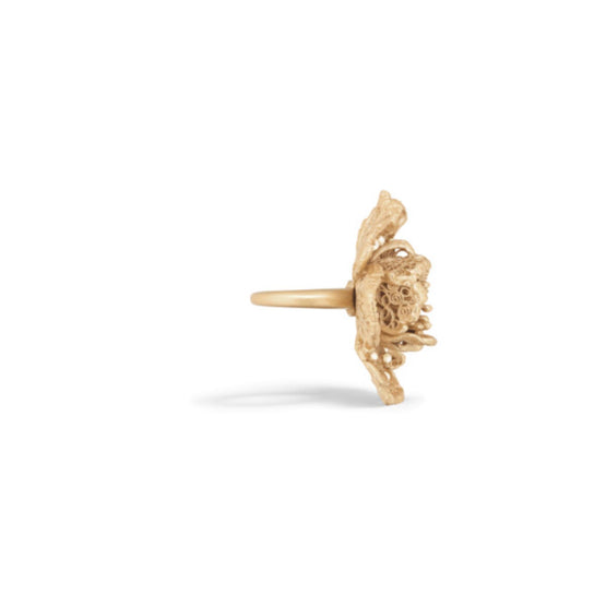 R2595WOMRSD301 - Jardin De Dior Ring - 301 Gold/White